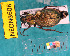  ( - NEONcarabid8608)  @13 [ ] Copyright (2010) National Ecological Observatory Network, Inc. National Ecological Observatory Network (NEON) http://www.neoninc.org/content/copyright