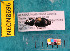  ( - NEONcarabid8696)  @12 [ ] Copyright (2010) National Ecological Observatory Network, Inc. National Ecological Observatory Network (NEON) http://www.neoninc.org/content/copyright
