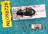  ( - NEONcarabid8728)  @13 [ ] Copyright (2010) National Ecological Observatory Network, Inc. National Ecological Observatory Network (NEON) http://www.neoninc.org/content/copyright