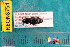  ( - NEONcarabid8754)  @12 [ ] Copyright (2010) National Ecological Observatory Network, Inc. National Ecological Observatory Network (NEON) http://www.neoninc.org/content/copyright