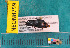  ( - NEONcarabid8759)  @12 [ ] Copyright (2010) National Ecological Observatory Network, Inc. National Ecological Observatory Network (NEON) http://www.neoninc.org/content/copyright