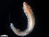  ( - B05-KBNL)  @11 [ ] Copyright (2019) Fiona MacKay Oceanographic Research Institute