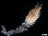  ( - B05-ME)  @11 [ ] Copyright (2019) Fiona MacKay Oceanographic Research Institute