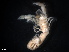  ( - B16-KBL1)  @11 [ ] Copyright (2019) Fiona MacKay Oceanographic Research Institute