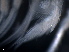  ( - B33-PEA3)  @11 [ ] Copyright (2019) Fiona MacKay Oceanographic Research Institute