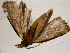  ( - CCDB-10308-A04)  @12 [ ] CreativeCommons - Attribution (2013) Andrew J. Frewin Centre for Biodiversity Genomics