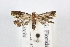  ( - CCDB-20276-A06)  @12 [ ] CreativeCommons - Attribution (2013) Andrew J. Frewin Centre for Biodiversity Genomics