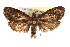  ( - CCDB-20276-D10)  @11 [ ] CreativeCommons - Attribution (2013) Andrew J. Frewin Centre for Biodiversity Genomics