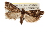  ( - CCDB-20276-E08)  @11 [ ] CreativeCommons - Attribution (2013) Andrew J. Frewin Centre for Biodiversity Genomics