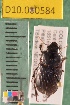  ( - NEON.BET.D10.000584)  @13 [ ] Copyright (2010) National Ecological Observatory Network, Inc. National Ecological Observatory Network (NEON) http://www.neoninc.org/content/copyright