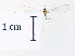  ( - CCDB-30318-A01)  @11 [ ] CreativeCommons - Attribution (2018) CBG Photography Group Centre for Biodiversity Genomics