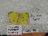  ( - WI-JAG-1085)  @13 [ ] No Rights Reserved (2014) Julio A. Genaro Unspecified