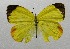  ( - WI-JAG-469)  @11 [ ] No Rights Reserved  Julio A Genaro Caribbean Natural History Group