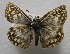  ( - WI-JAG-582)  @13 [ ] No Rights Reserved  Julio A Genaro Caribbean Natural History Group
