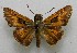  ( - WI-JAG-640)  @13 [ ] No Rights Reserved  Julio A Genaro Caribbean Natural History Group