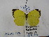  ( - Wi-JAG-1113)  @13 [ ] No Rights Reserved (2015) Julio A Genaro Caribbean Natural History Group