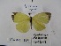  ( - Wi-JAG-1114)  @13 [ ] No Rights Reserved (2015) Julio A Genaro Caribbean Natural History Group