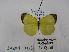  ( - Wi-JAG-1115)  @13 [ ] No Rights Reserved (2015) Julio A Genaro Caribbean Natural History Group