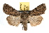  ( - JLB-0050)  @14 [ ] CreativeCommons - Attribution (2009) Unspecified Centre for Biodiversity Genomics