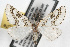  ( - JLB-0118)  @14 [ ] CreativeCommons - Attribution (2009) Unspecified Centre for Biodiversity Genomics