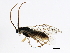  ( - 10PROBE-28844)  @13 [ ] CreativeCommons - Attribution (2011) CBG Photography Group Centre for Biodiversity Genomics