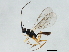  ( - 10PROBE-29114)  @12 [ ] CreativeCommons - Attribution (2011) CBG Photography Group Centre for Biodiversity Genomics