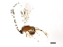  ( - 10PROBE-29169)  @13 [ ] CreativeCommons - Attribution (2011) CBG Photography Group Centre for Biodiversity Genomics