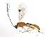  ( - 10PROBE-29171)  @13 [ ] CreativeCommons - Attribution (2011) CBG Photography Group Centre for Biodiversity Genomics