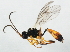  ( - 10PROBE-29207)  @13 [ ] CreativeCommons - Attribution (2011) CBG Photography Group Centre for Biodiversity Genomics