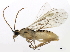  ( - 10PROBE-29357)  @13 [ ] CreativeCommons - Attribution (2011) CBG Photography Group Centre for Biodiversity Genomics