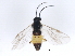  ( - BIOUG00572-C04)  @14 [ ] CreativeCommons - Attribution (2010) CBG Photography Group Centre for Biodiversity Genomics