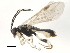  ( - BIOUG00572-G03)  @13 [ ] CreativeCommons - Attribution (2010) CBG Photography Group Centre for Biodiversity Genomics
