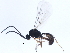  ( - BIOUG00732-G03)  @13 [ ] CreativeCommons - Attribution (2010) CBG Photography Group Centre for Biodiversity Genomics