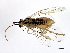  ( - BIOUG00740-A12)  @13 [ ] CreativeCommons - Attribution (2011) CBG Photography Group Centre for Biodiversity Genomics
