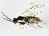  ( - BIOUG00740-B04)  @13 [ ] CreativeCommons - Attribution (2011) CBG Photography Group Centre for Biodiversity Genomics