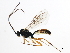  ( - BIOUG00740-C06)  @13 [ ] CreativeCommons - Attribution (2011) CBG Photography Group Centre for Biodiversity Genomics