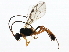  ( - BIOUG00777-C09)  @14 [ ] CreativeCommons - Attribution (2011) CBG Photography Group Centre for Biodiversity Genomics
