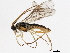  ( - BIOUG00998-B10)  @13 [ ] CreativeCommons - Attribution (2011) CBG Photography Group Centre for Biodiversity Genomics