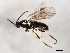  ( - BIOUG00998-D04)  @14 [ ] CreativeCommons - Attribution (2011) CBG Photography Group Centre for Biodiversity Genomics