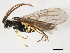  ( - BIOUG00998-E05)  @13 [ ] CreativeCommons - Attribution (2011) CBG Photography Group Centre for Biodiversity Genomics