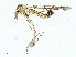  ( - BIOUG99488-H09)  @11 [ ] CreativeCommons - Attribution (2023) CBG Photography Group Centre for Biodiversity Genomics
