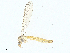  ( - BIOUG99491-H07)  @11 [ ] CreativeCommons - Attribution (2023) CBG Photography Group Centre for Biodiversity Genomics