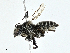  ( - BIOUG99492-H02)  @11 [ ] CreativeCommons - Attribution (2023) CBG Photography Group Centre for Biodiversity Genomics