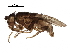  ( - BIOUG29825-B06)  @14 [ ] CreativeCommons - Attribution (2016) CBG Photography Group Centre for Biodiversity Genomics