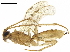  ( - BIOUG29836-H03)  @14 [ ] CreativeCommons - Attribution (2019) CBG Photography Group Centre for Biodiversity Genomics