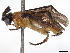  ( - BIOUG29839-E09)  @11 [ ] CreativeCommons - Attribution (2020) CBG Photography Group Centre for Biodiversity Genomics