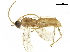  ( - BIOUG29862-A04)  @14 [ ] CreativeCommons - Attribution (2019) CBG Photography Group Centre for Biodiversity Genomics