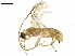  ( - BIOUG29863-G04)  @13 [ ] CreativeCommons - Attribution (2019) CBG Photography Group Centre for Biodiversity Genomics