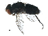  (Houghia Malaise0004 - BIOUG29798-H09)  @14 [ ] CreativeCommons - Attribution (2016) CBG Photography Group Centre for Biodiversity Genomics