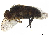  ( - BIOUG29814-F09)  @14 [ ] CreativeCommons - Attribution (2019) CBG Photography Group Centre for Biodiversity Genomics